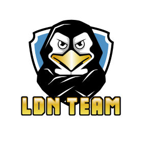 imagem ilustrativa LDN TEAM